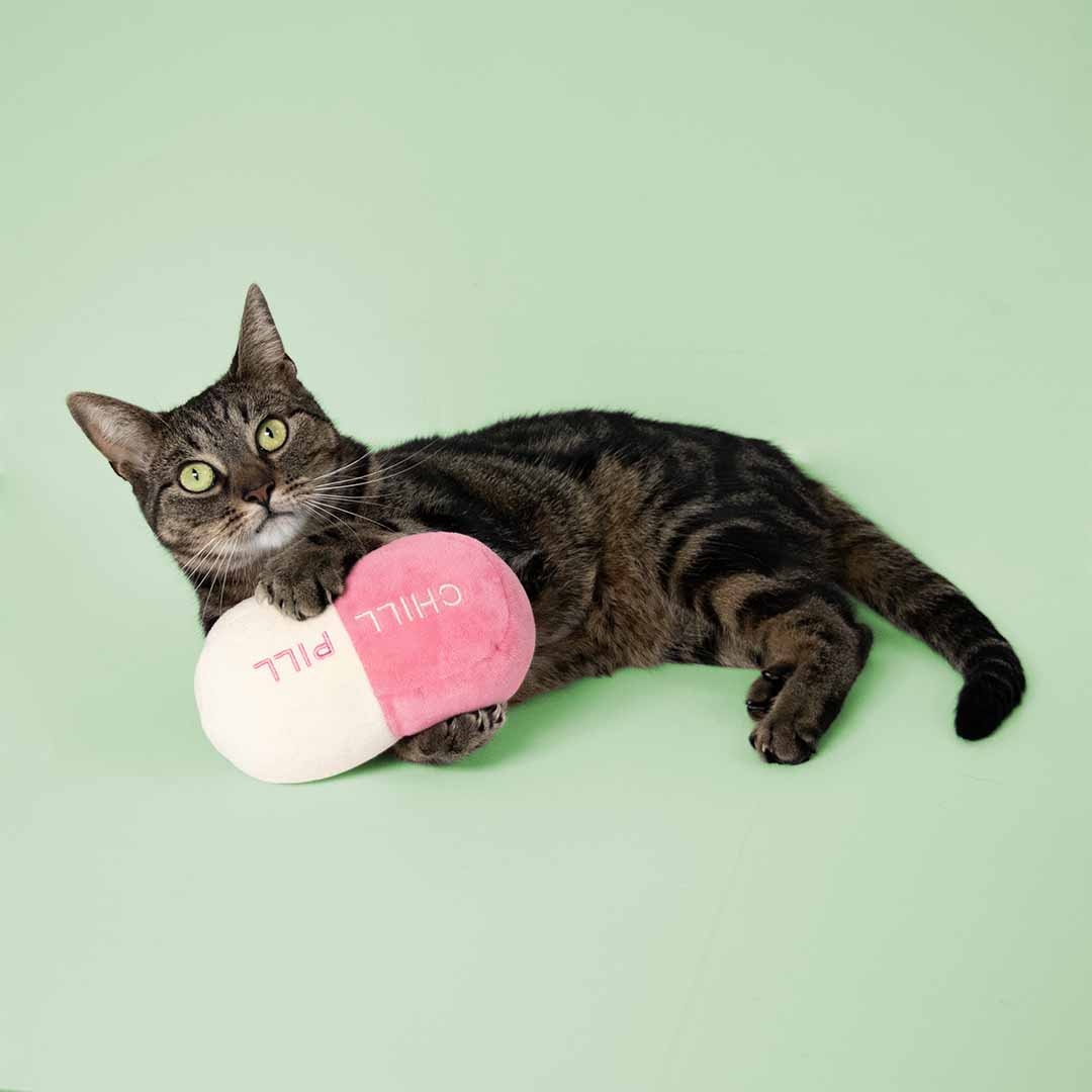 Coockoo Coockoo Trappelkussen CHILL PILL Roze/beige