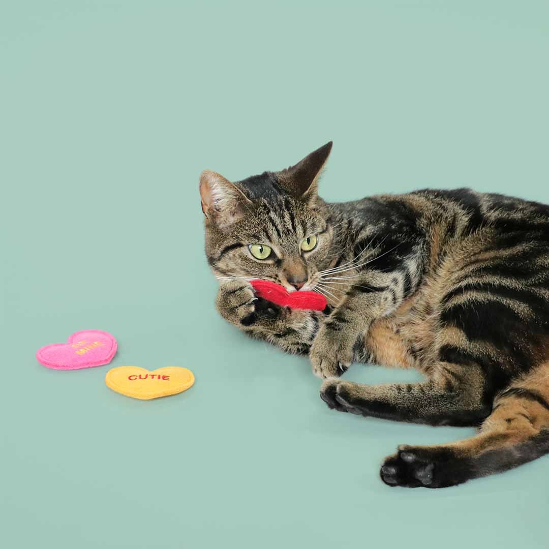 Coockoo Coockoo Kattenspeeltje met valeriaan HEARTFELT