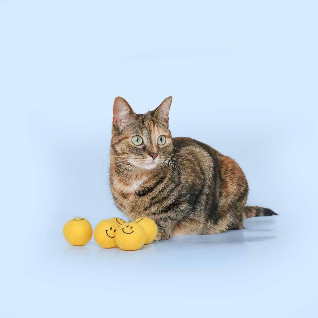 Coockoo Coockoo Kattenspeeltje KEEP ON SMILING