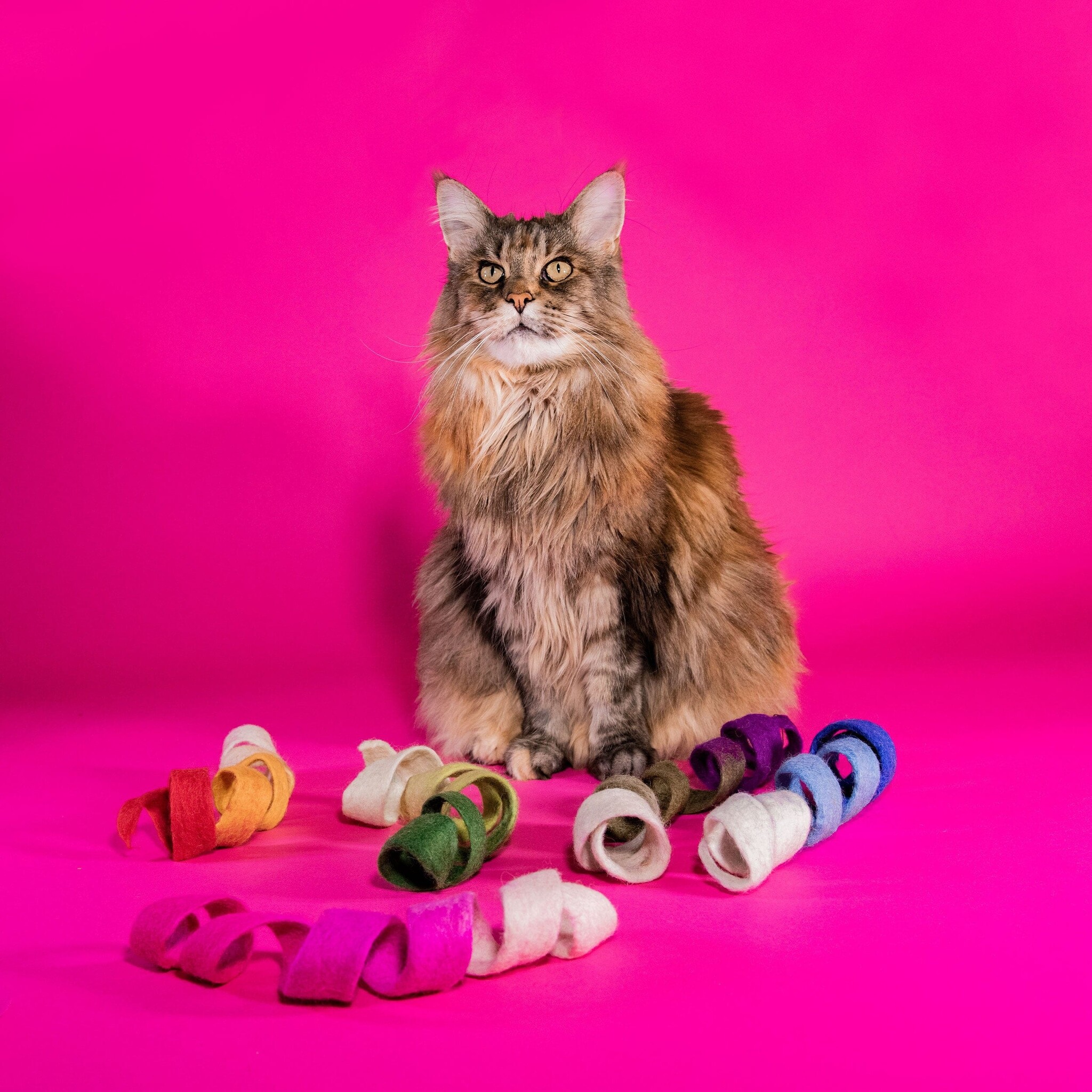 Mimis Daughters Mimis Daughters Spinny Spiral - purple