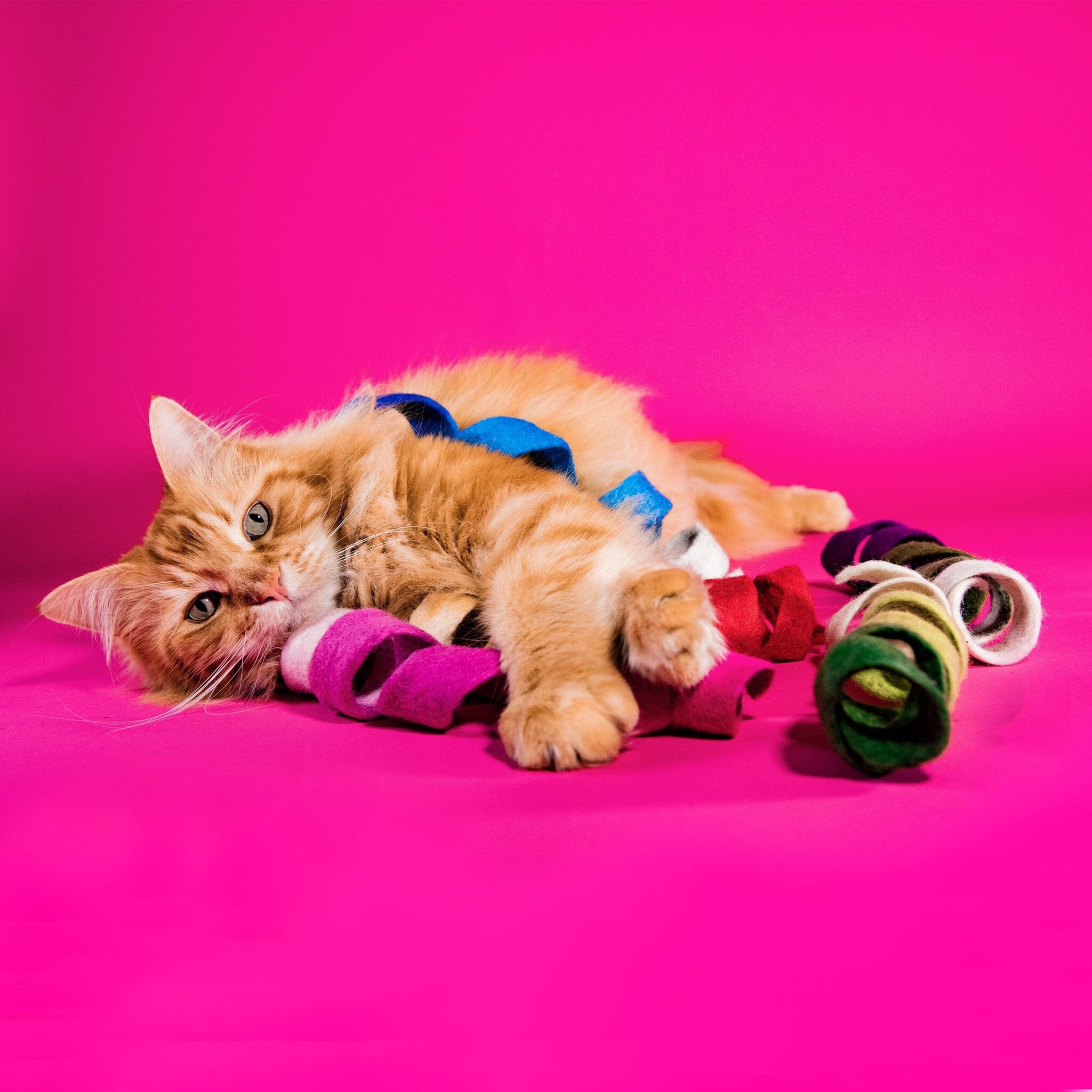 Mimis Daughters Mimis Daughters Spinny Spiral - purple