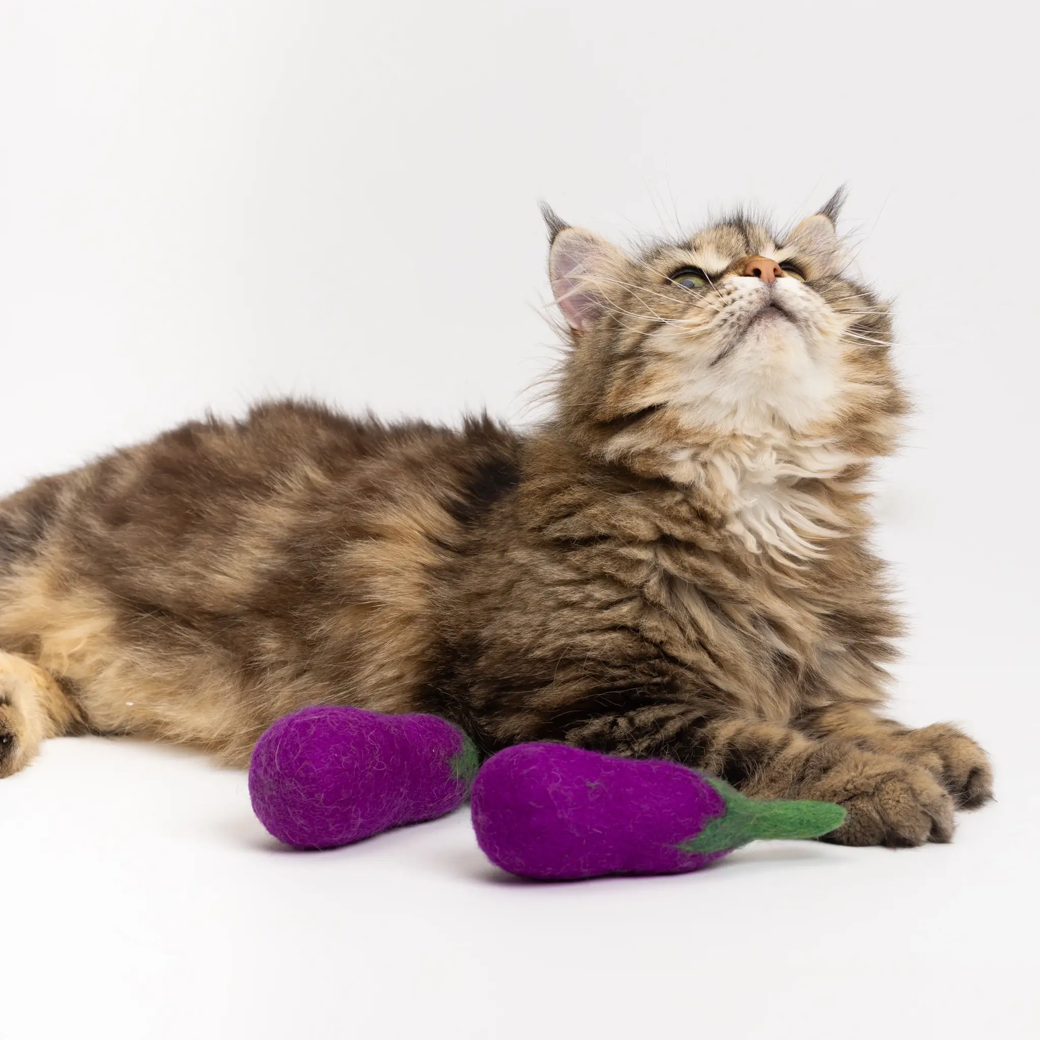 Mimis Daughters Mimis Daughters Adventurow Aubergine