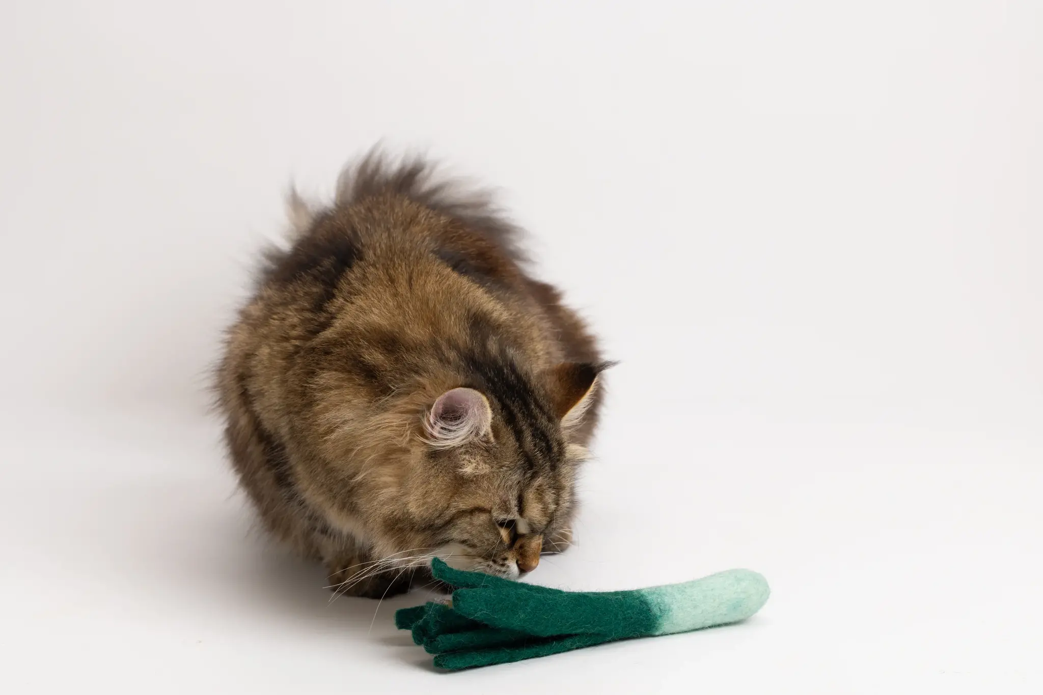 Mimis Daughters Mimis Daughters Lean Leek