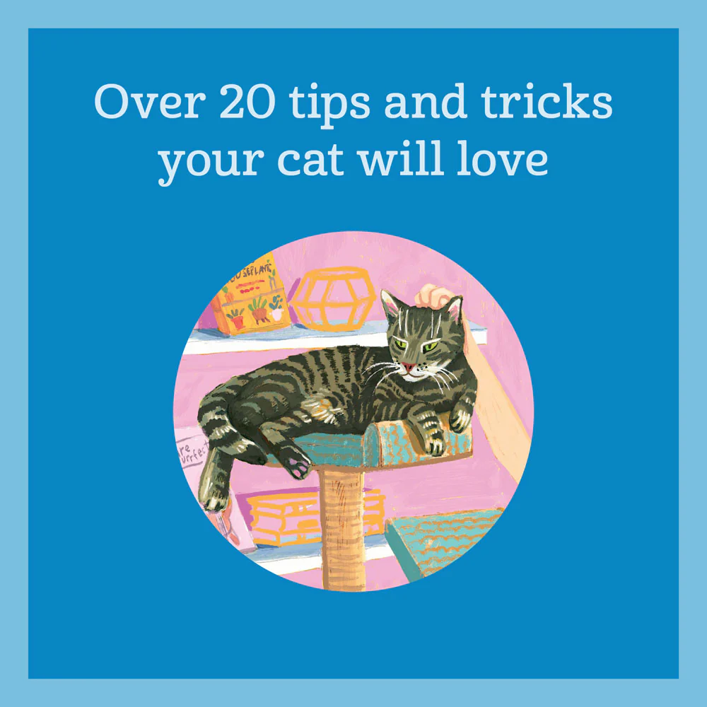 Chronicle Books How to Pet a Cat – Angela Staehlung