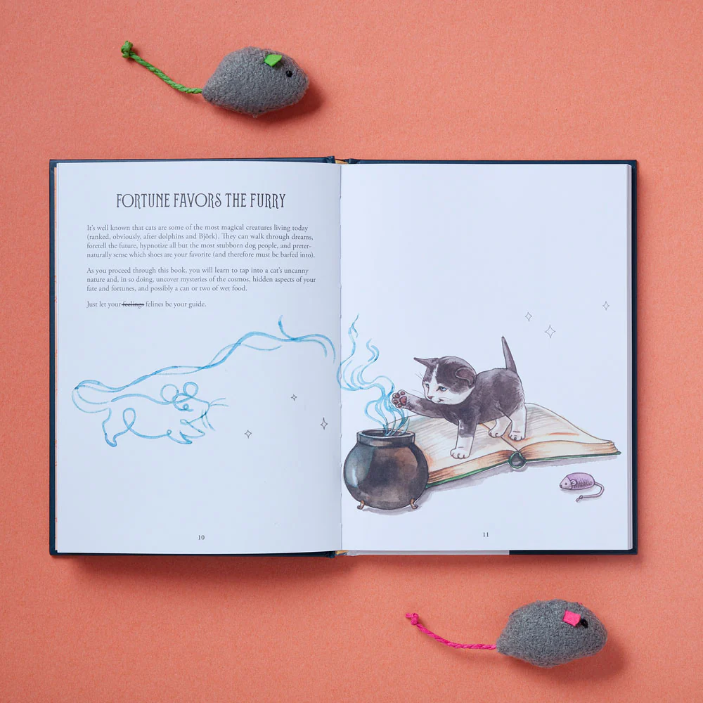 Chronicle Books Pawmistry:  Unlocking the Secrets of the Universe with Cats – Megan Lynn Kott