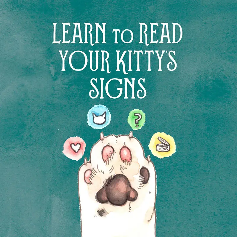Chronicle Books Pawmistry:  Unlocking the Secrets of the Universe with Cats – Megan Lynn Kott