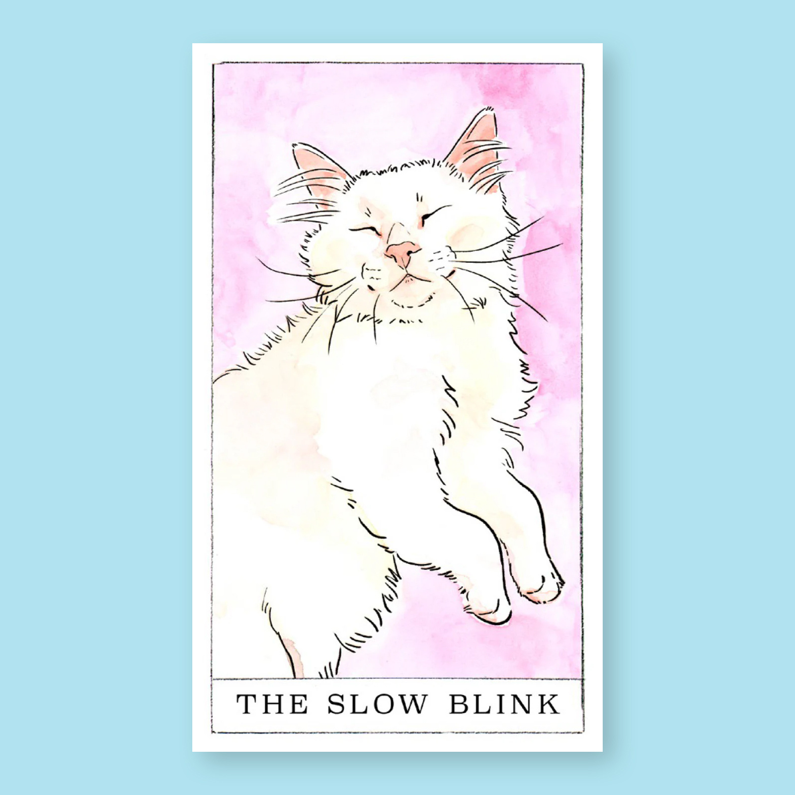 Chronicle Books Kitten Oracle: 50 Cards & Guidebook