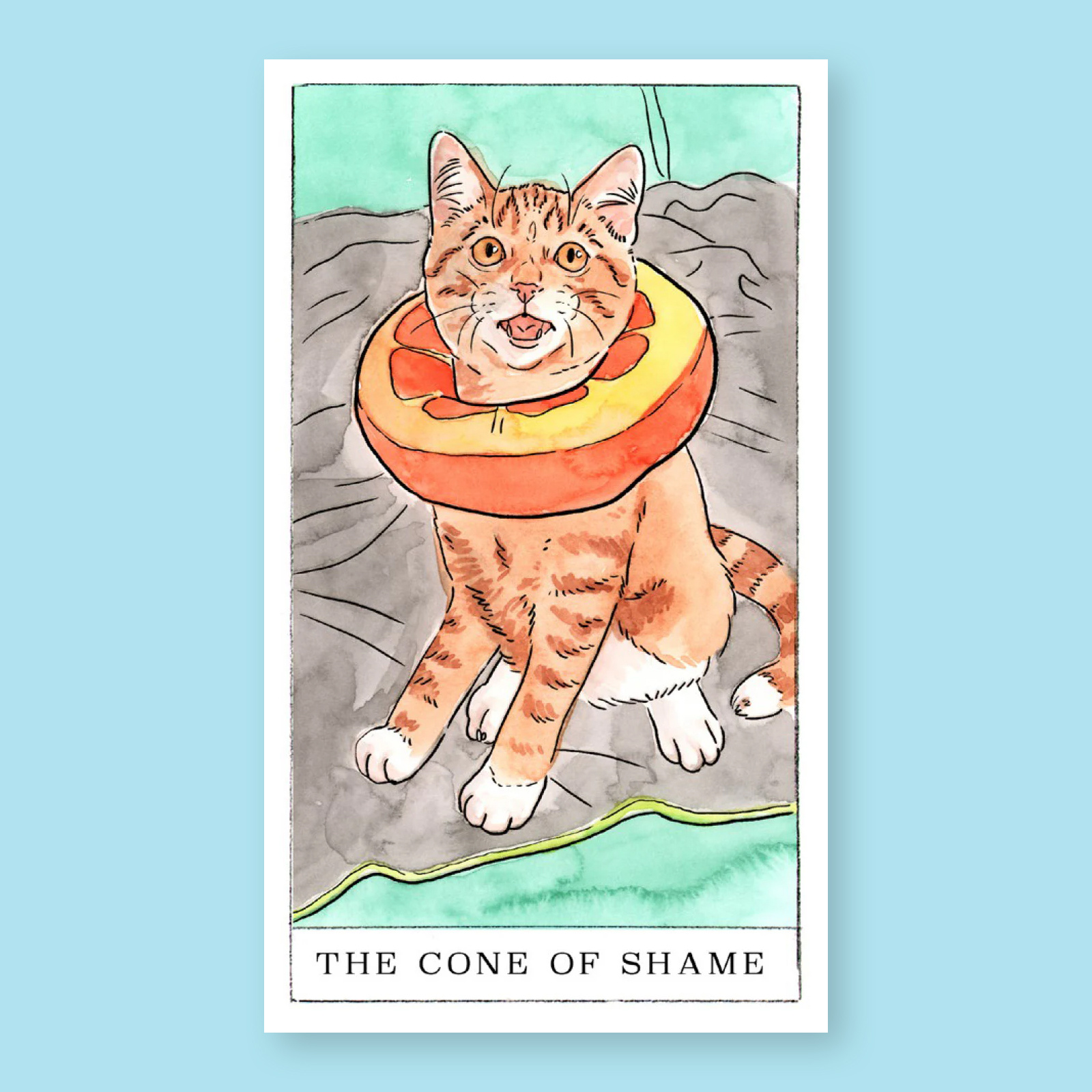 Chronicle Books Kitten Oracle: 50 Cards & Guidebook