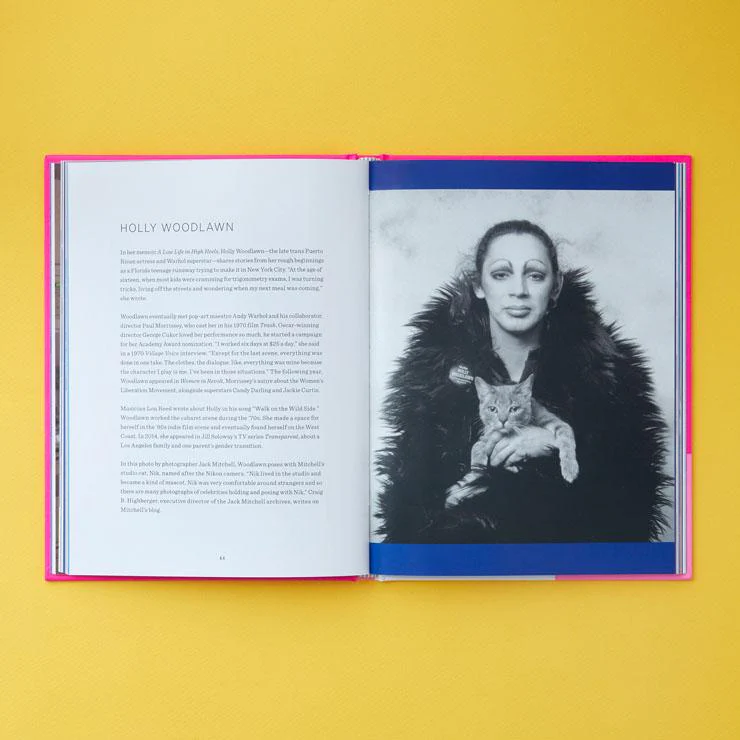 Chronicle Books Queer Icons and Their Cats