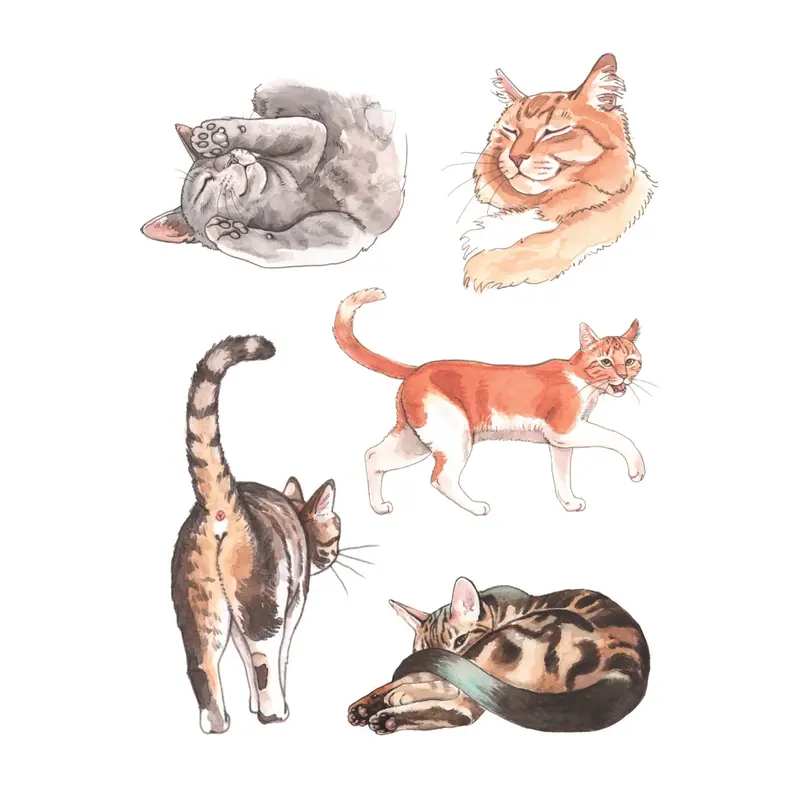 Chronicle Books The Cat’s Meow Sticker Book