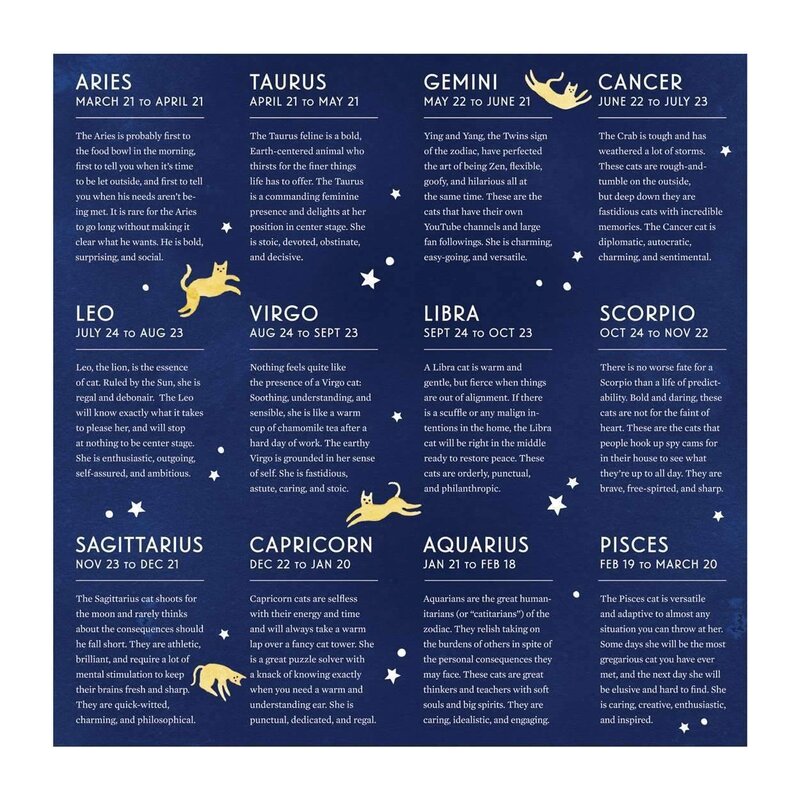 Galison Cat Zodiac  - katten sterrenbeelden puzzel