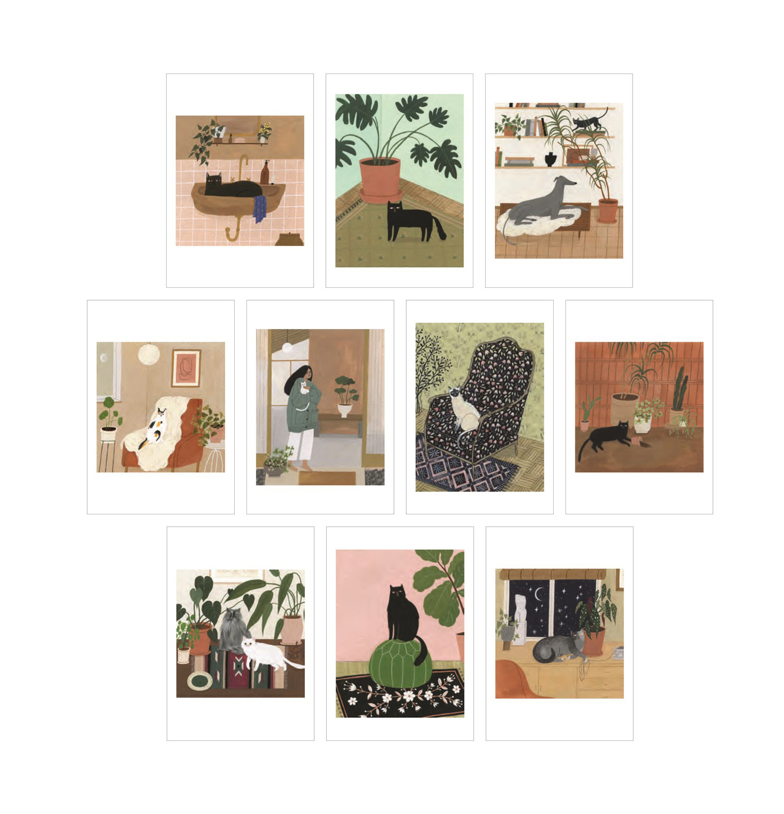 Cat Box:  100 ansichtkaarten van katten