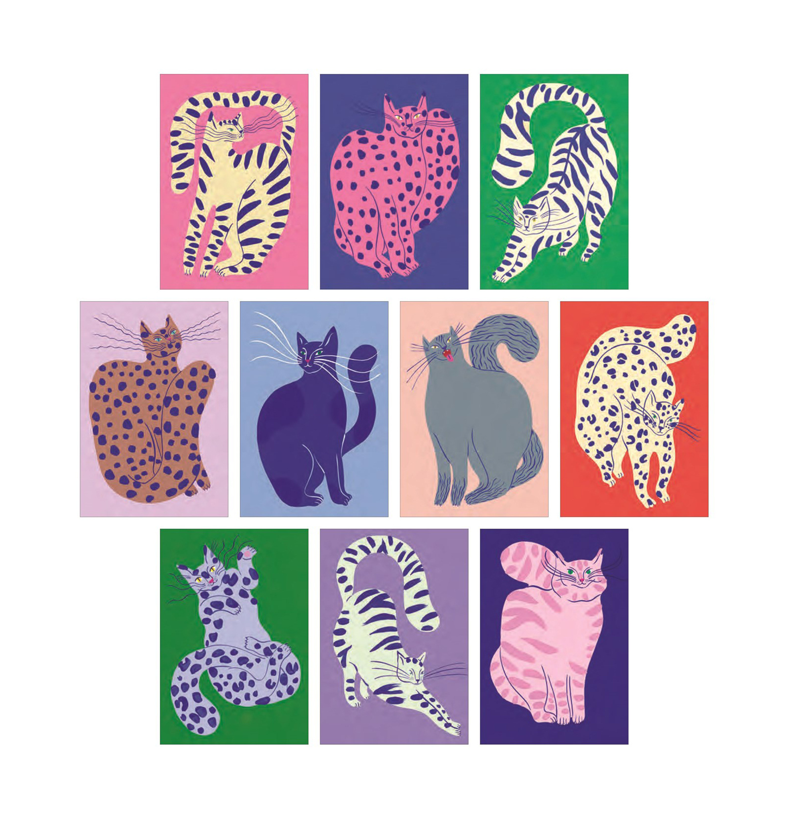 Cat Box:  100 ansichtkaarten van katten