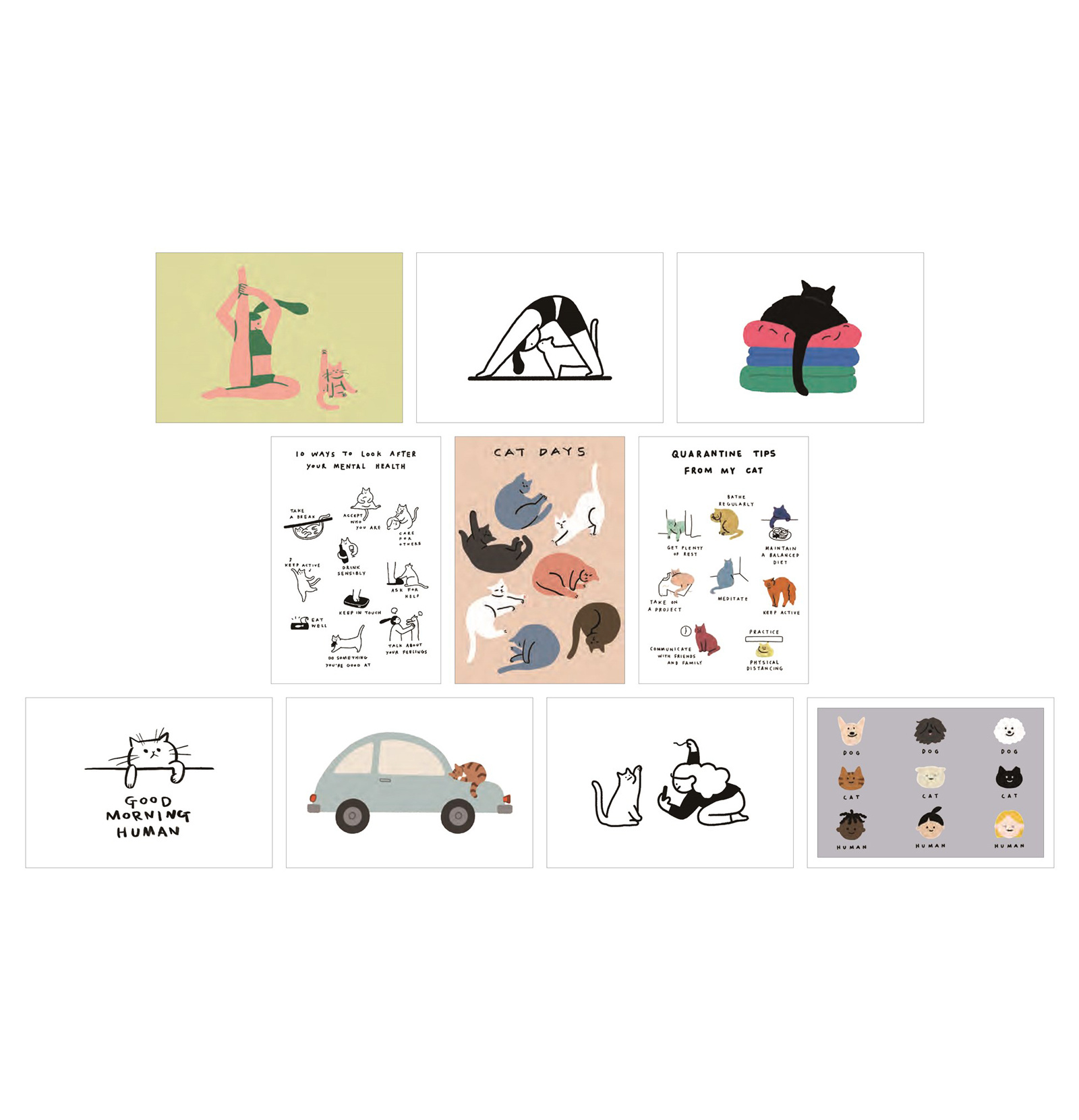 Cat Box:  100 ansichtkaarten van katten