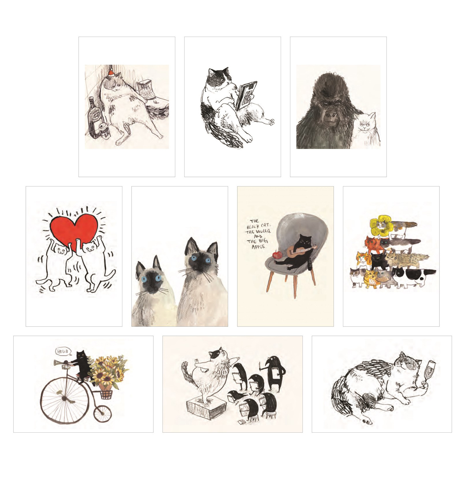 Cat Box:  100 ansichtkaarten van katten