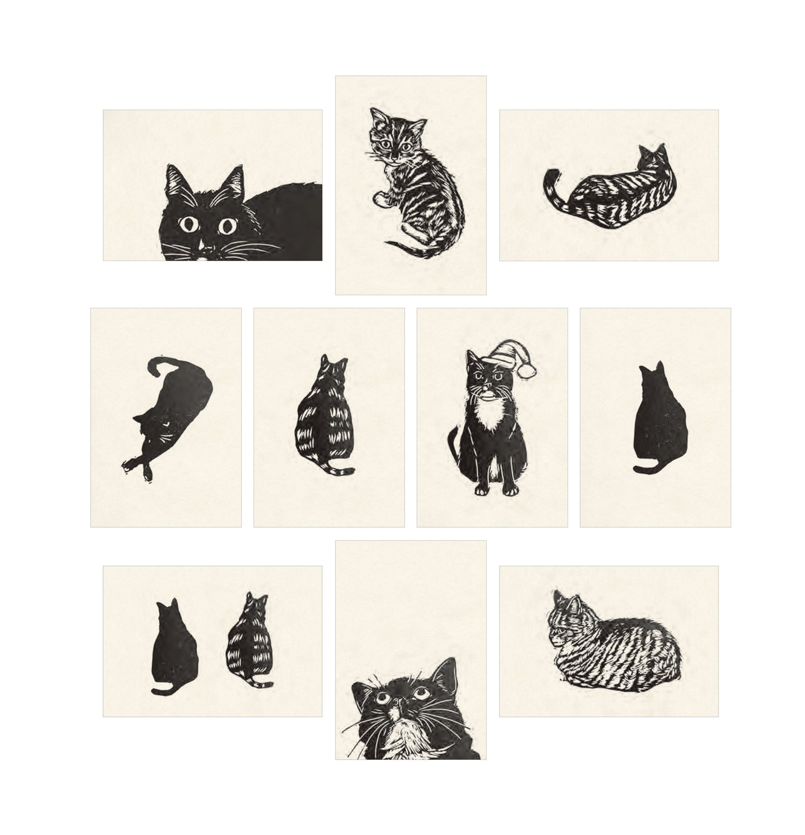 Cat Box:  100 ansichtkaarten van katten