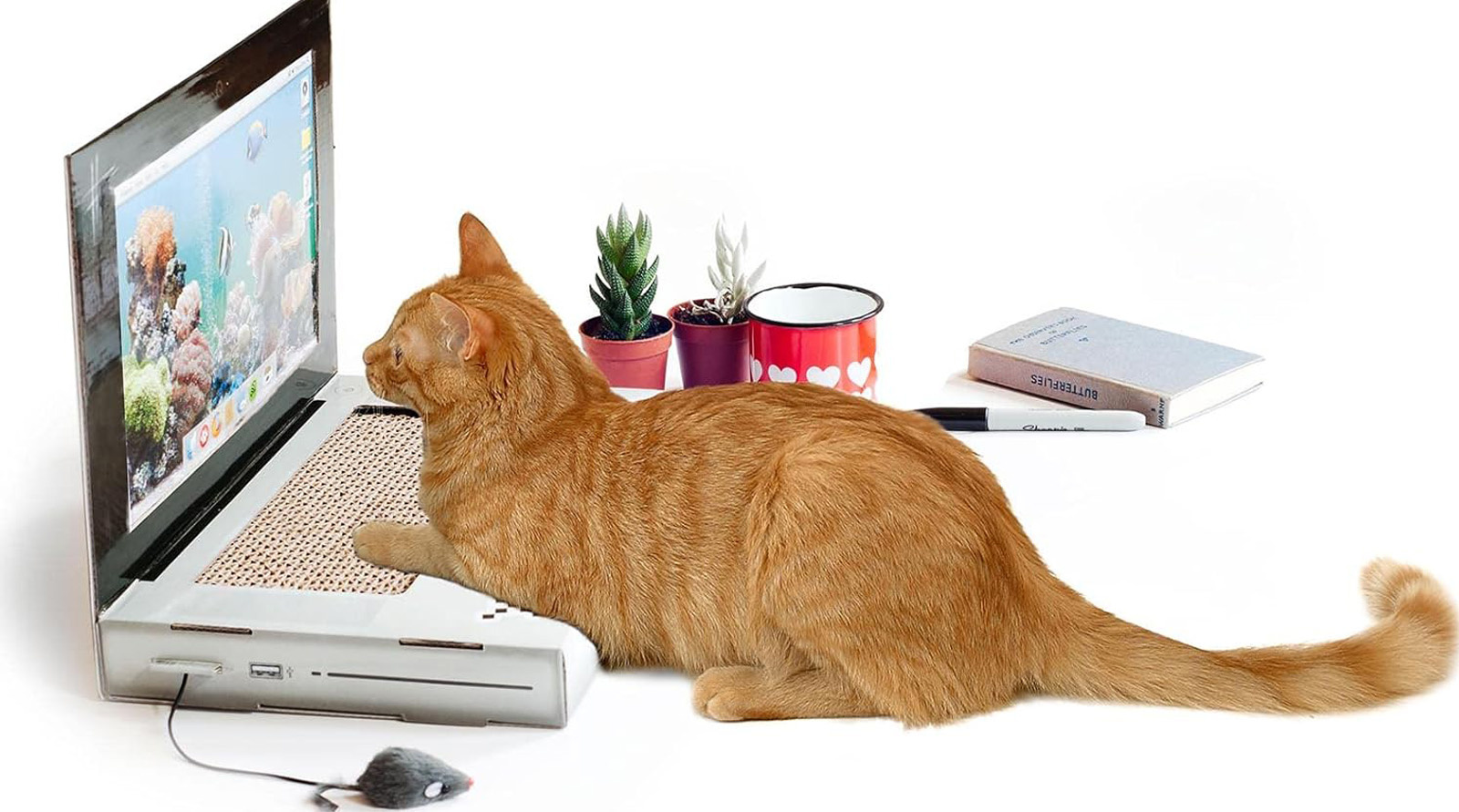 Suck UK Cat Laptop Scratch Pad