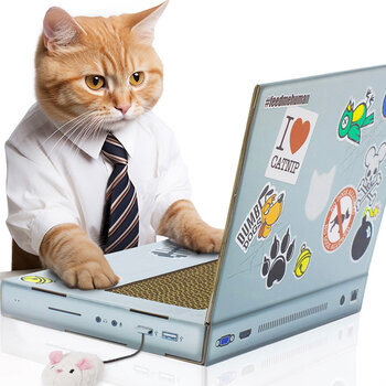 Suck UK Cat Laptop Scratch Pad