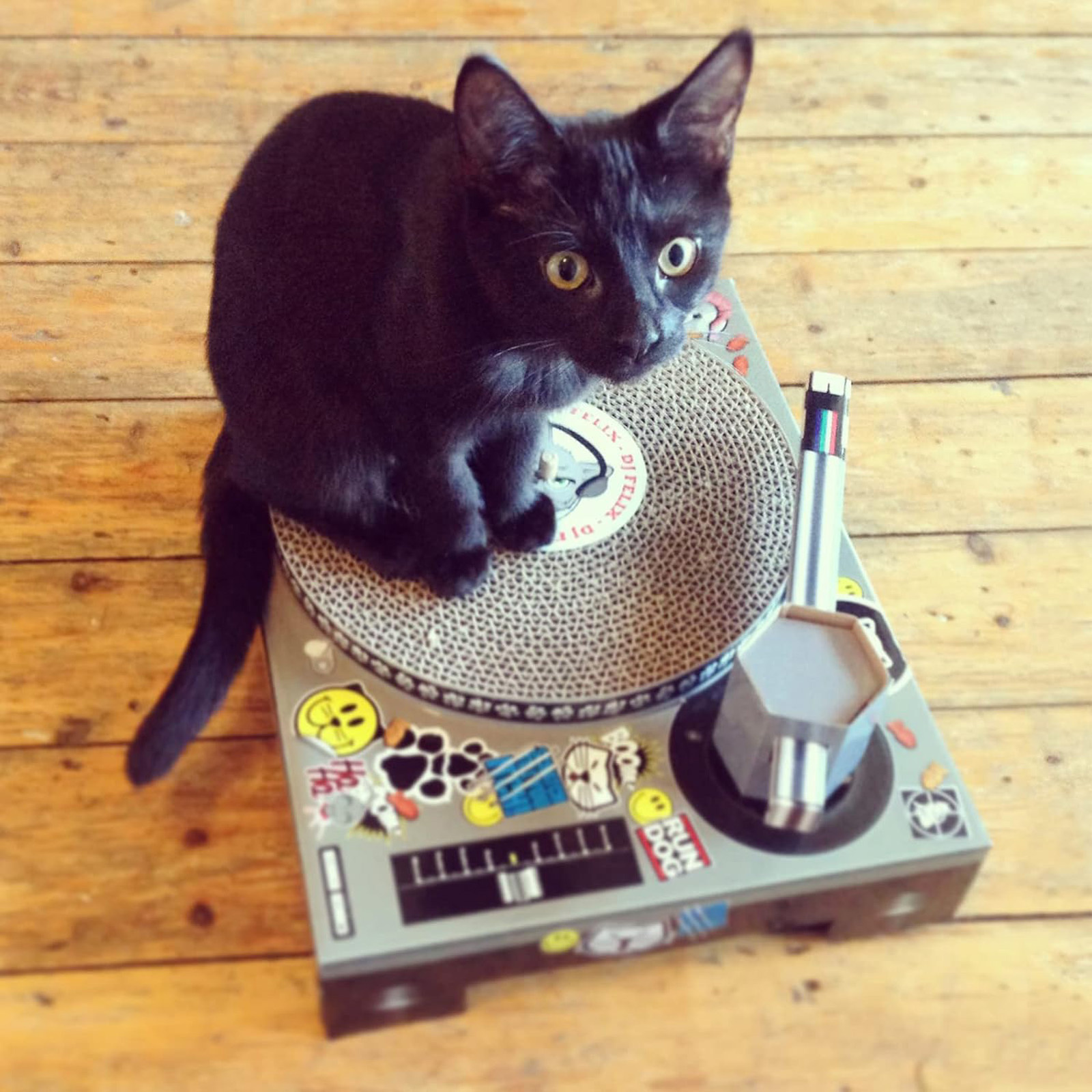 Suck UK Cat Scratch Turntable