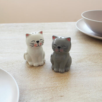 Winkee Cat Salt & Pepper Shakers