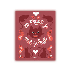 Zo praat je met je kat