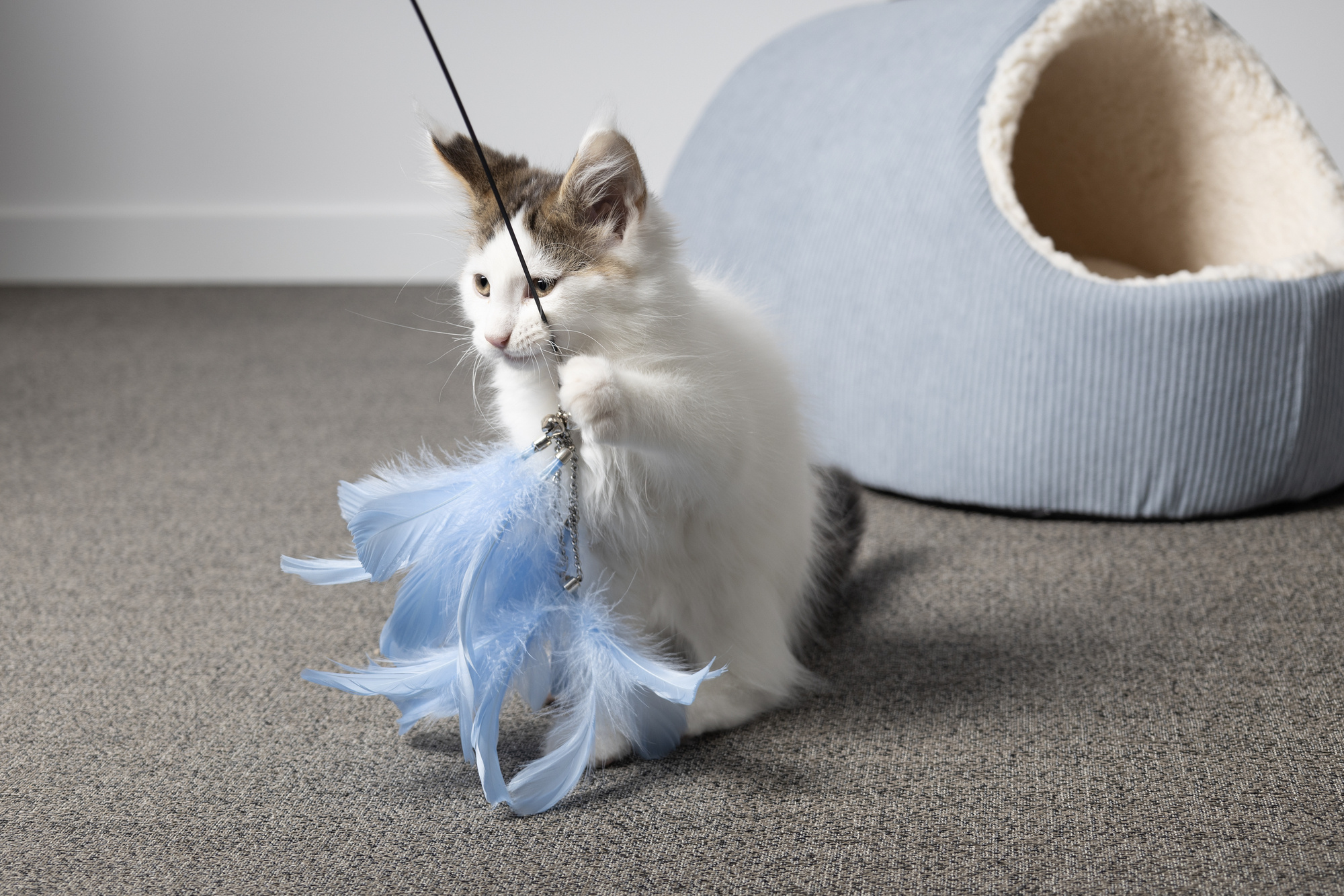 Extra lange kattenhengel 186 cm