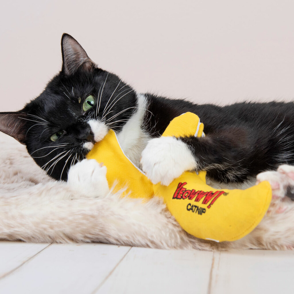 Yeowww! Yeowww! Chi-cat-a Peeled Banana