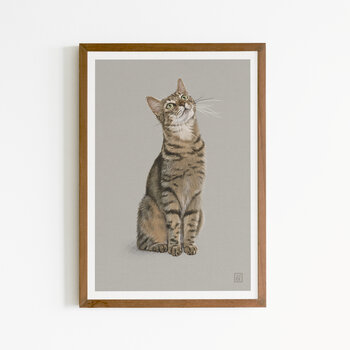 Kat & Potloodtekening van je kat