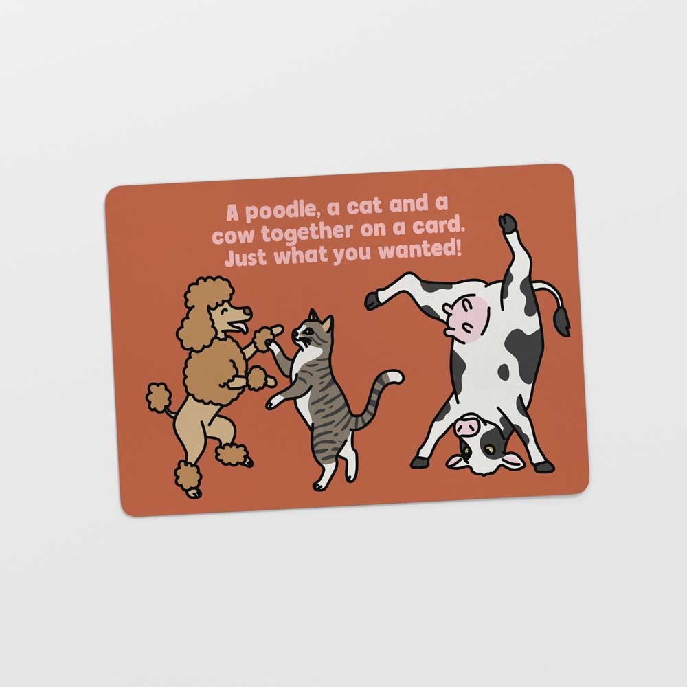 Kat & Ansichtkaart 'A poodle, a cat and a cow…'