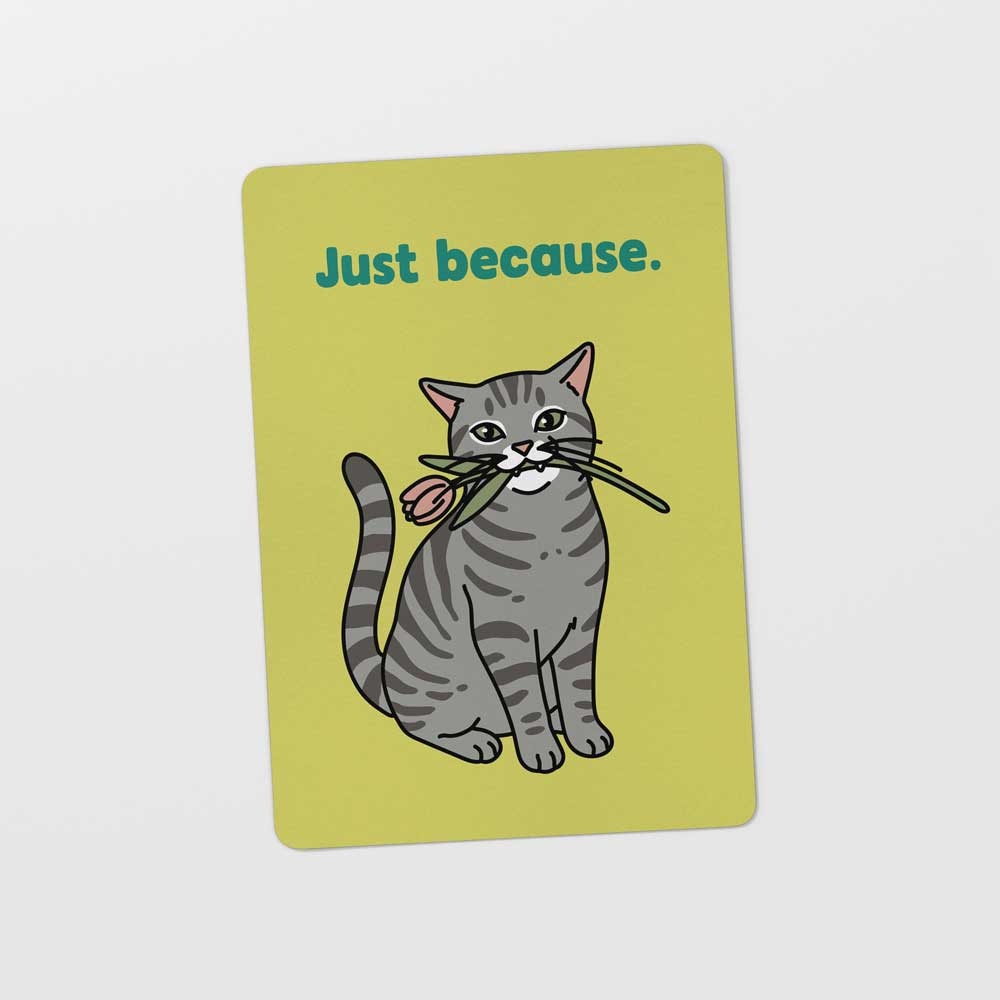 Kat & Ansichtkaart 'Just because'