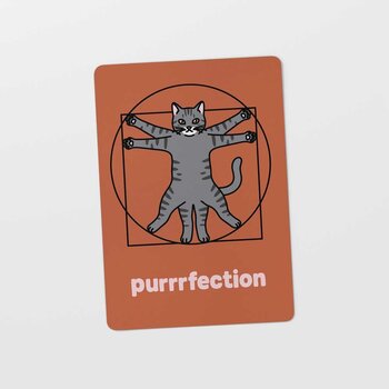 Kat & Purrrfection