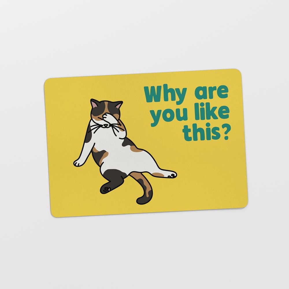 Kat & Ansichtkaart 'Why are you like this'