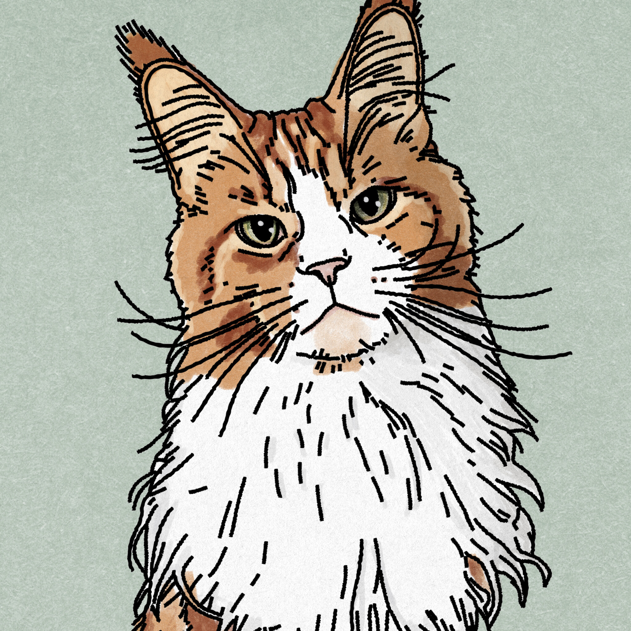 Kat & Handgetekende illustratie in markerstijl van je kat