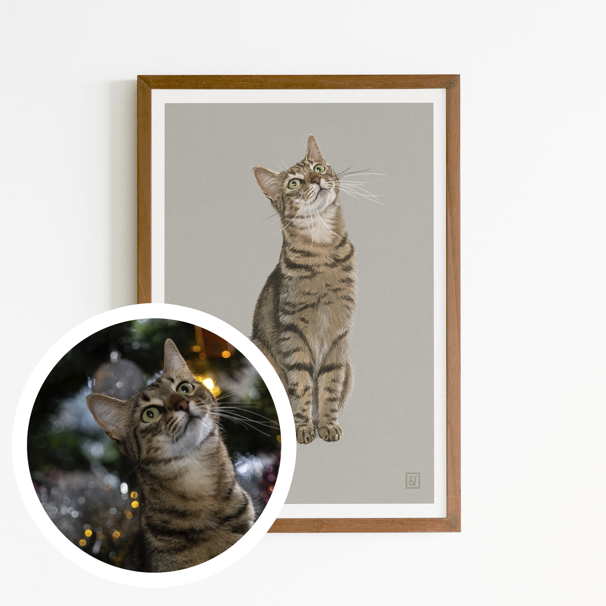 Kat & Handgetekend portret in potlood van je kat