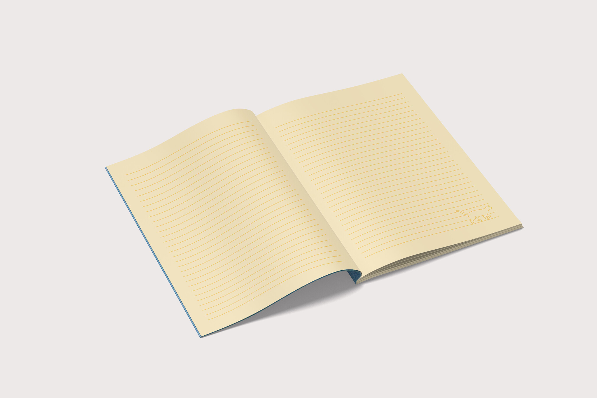 Kat & Kat & notitieboekje 'Official Book of Brilliant Nonsense'