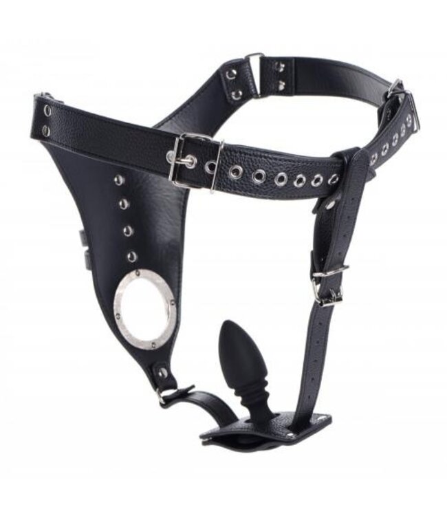 Penis Kuisheidsgordel Met Siliconen Anaal Plug