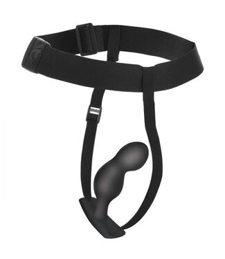 Master Series P-Spot Plugger Anaalplug met Harnas & Afstandsbediening