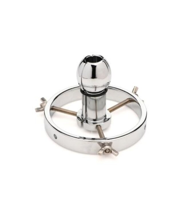 Roestvrij Stalen Anaal Verkenner