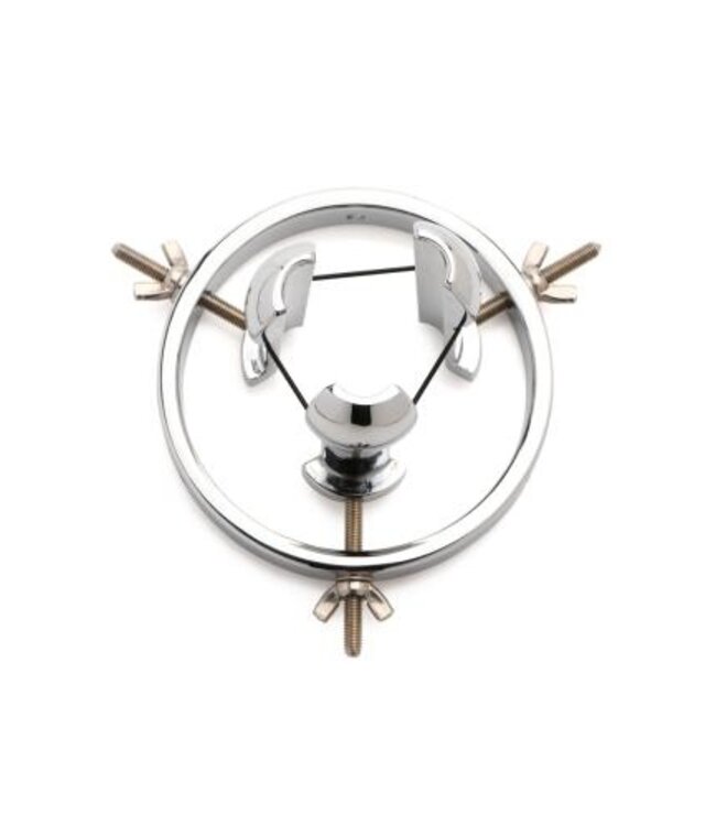 Roestvrij Stalen Anaal Verkenner