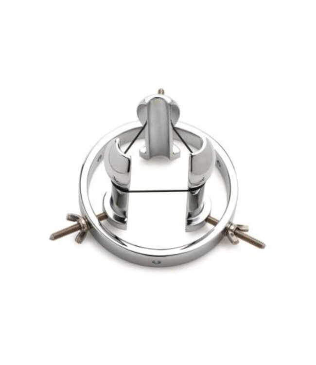 Roestvrij Stalen Anaal Verkenner