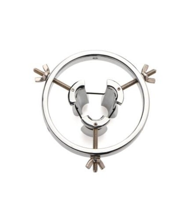 Roestvrij Stalen Anaal Verkenner