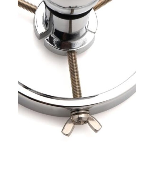 Roestvrij Stalen Anaal Verkenner