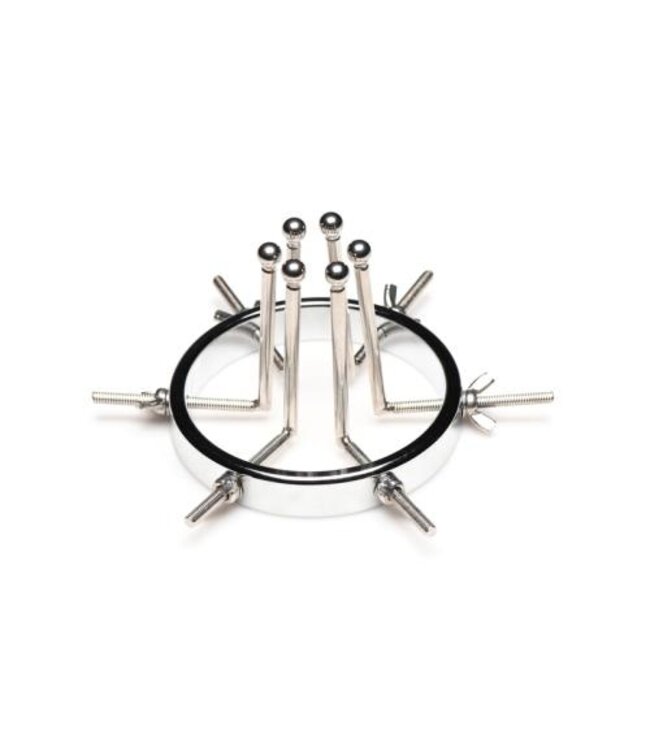 Oculus Roestvrij Stalen Buttplug