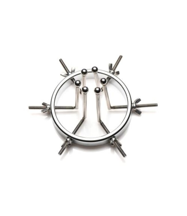 Oculus Roestvrij Stalen Buttplug