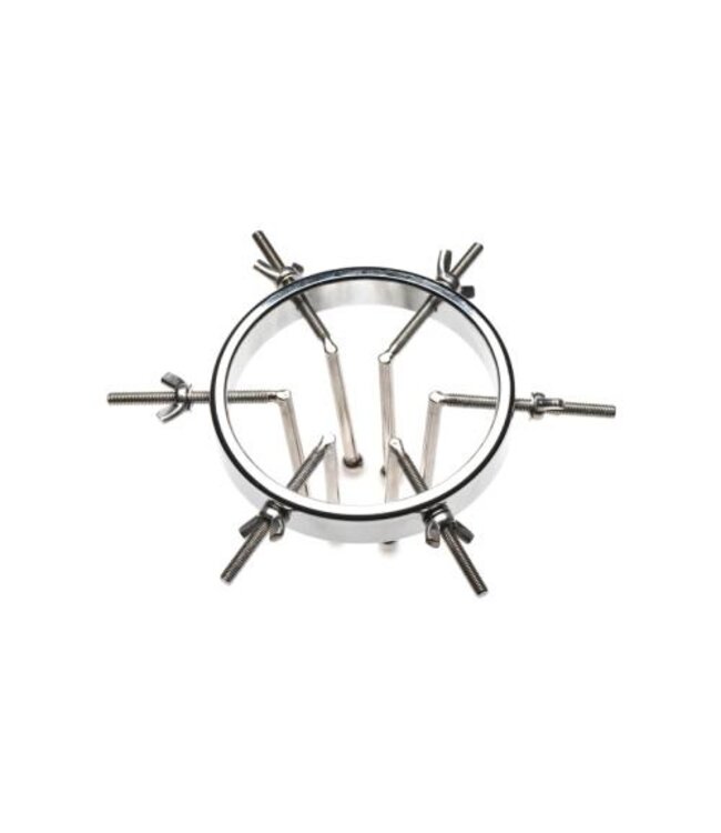 Oculus Roestvrij Stalen Buttplug