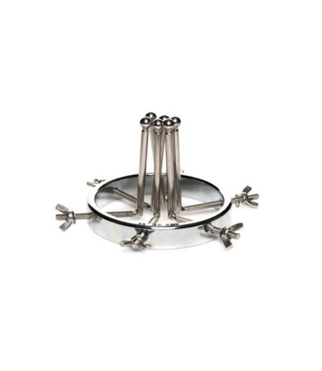 Oculus Roestvrij Stalen Buttplug