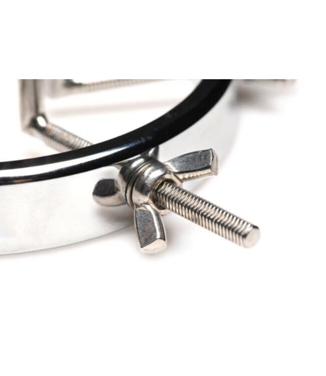 Oculus Roestvrij Stalen Buttplug