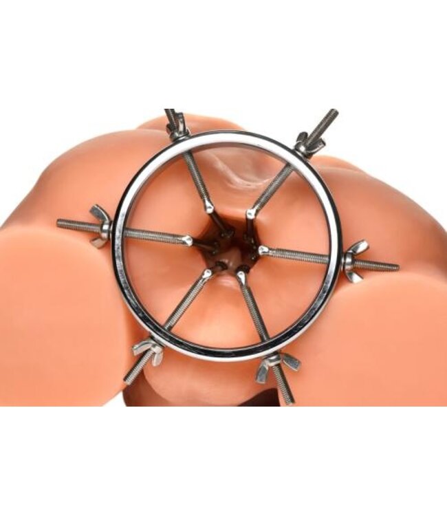 Oculus Roestvrij Stalen Buttplug