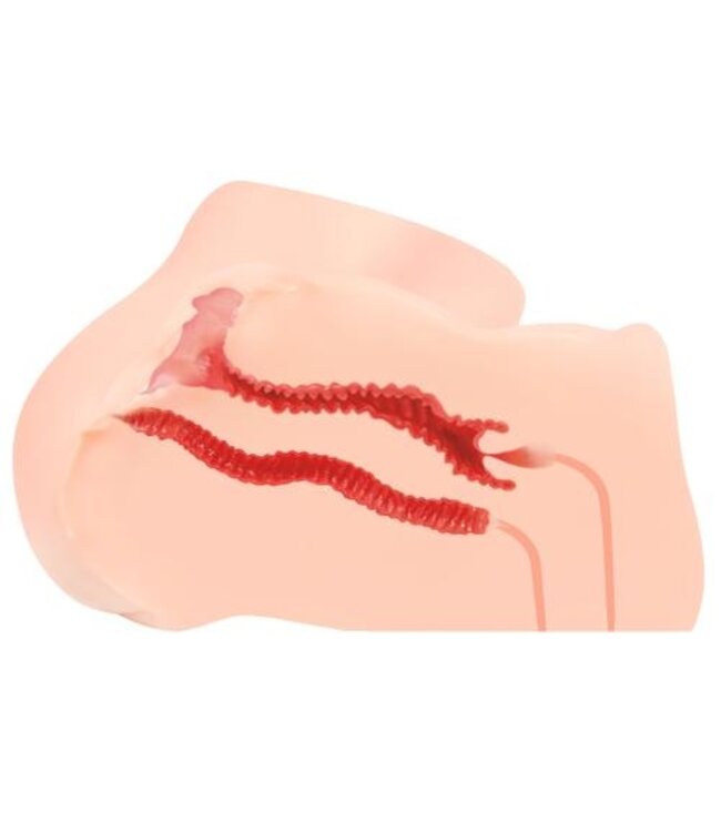 Hanna Onahole Masturbator