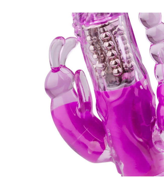 Raving Rabbit Vibrator - Paars